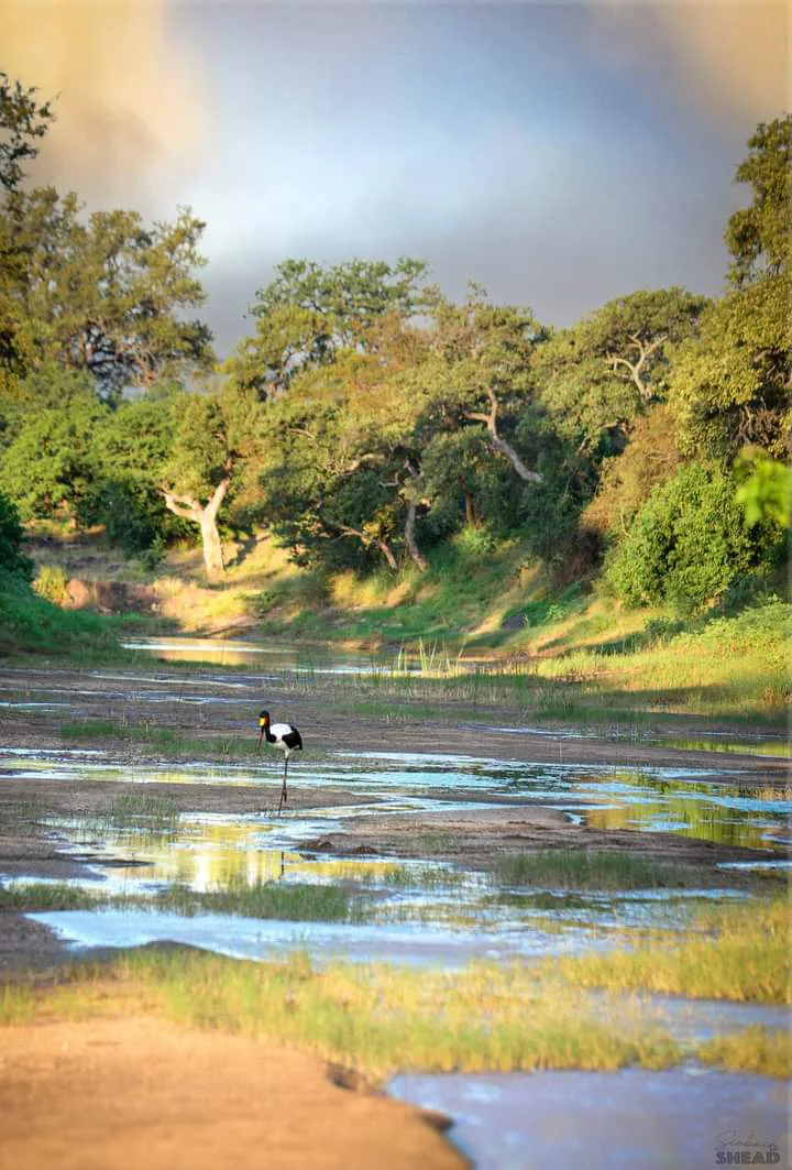 FB_IMG_1616065956040 copy